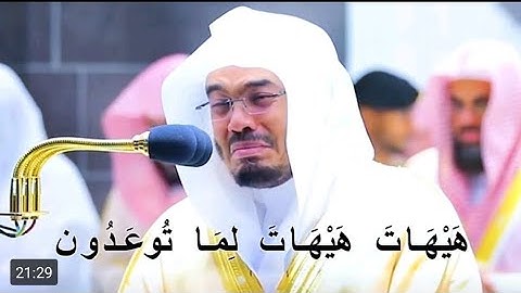 سورة المؤمنون - هيهآت هيهات | القارئ الشيخ ياسر الدوسري
