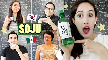 ¿Cuáles son los tipos de soju?