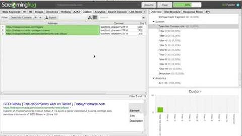El Custom Search y Custom Extraction de Screaming Frog