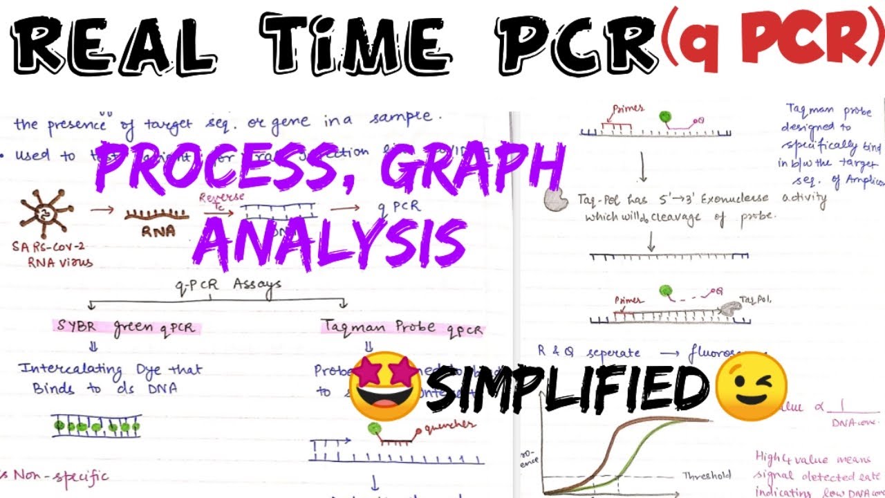 Real Time PCR (q PCR) || Quantitative PCR#types of pcr🤩