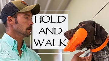 Trained Retrieve Step 6 - Hold and Walk
