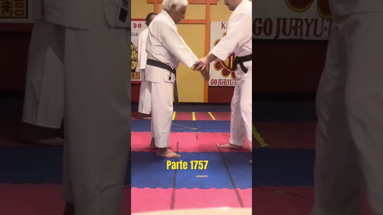 (1757)Clase de karate Goju Ryu Taishio Kai