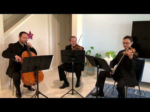 Sunset Strings' string trio performs Wildest Dreams