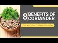 8 Benefits Of Coriander | This Video Will Change Your Life |