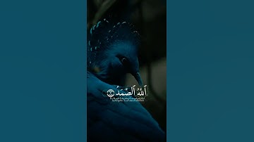 تلاوة هادئه ❤تفيض جمالاً❤ أرح بها قلبك ❤️ ومسمعك ❤️