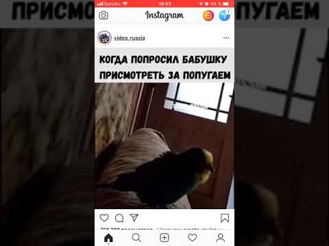 При нашей жизни