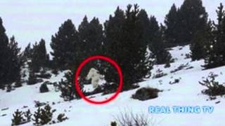 Yeti Caught On Camera In Spanish Ski Resort