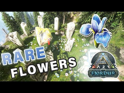 Where to Find Rare Flowers on Fjordur Ark Fjordur - YouTube