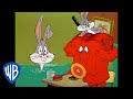 Looney Tunes | Let's Give Gossamer a Hairdo | Classic Cartoon | WB Kids