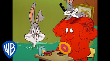 Looney Tunes | Let's Give Gossamer a Hairdo | Classic Cartoon | WB Kids