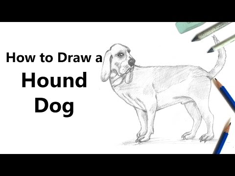How to Draw a Hound Dog with Pencils [Time Lapse]