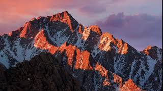 How to Delete Images and Archives