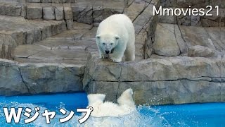 Double jump！Polar Bears ダブルジャンプ！ホッキョクグマ親子