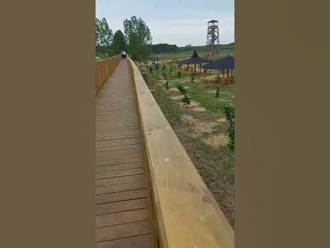 Nyírmártonfalva! Lombkorona sétány lomb nélkül! YouTube