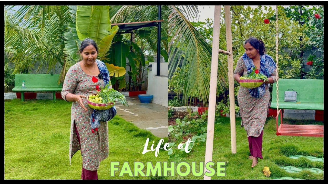 అనుకుంటే జరుగుతాయి మన మధ్యతరగతి వాళ్ళకి కూడా | Yes, Middle-Class Families Can Own a Farmhouse Too! 🌿