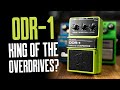 What About The Nobels ODR-1? [vs TS9 & BD-2w into AC15 & Deluxe Reverb] That Pedal Show