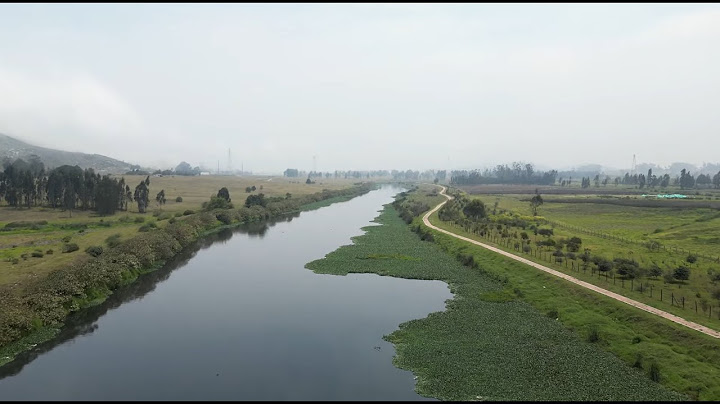 ¿Cuáles son las principales causas de la contaminación del río Bogotá?