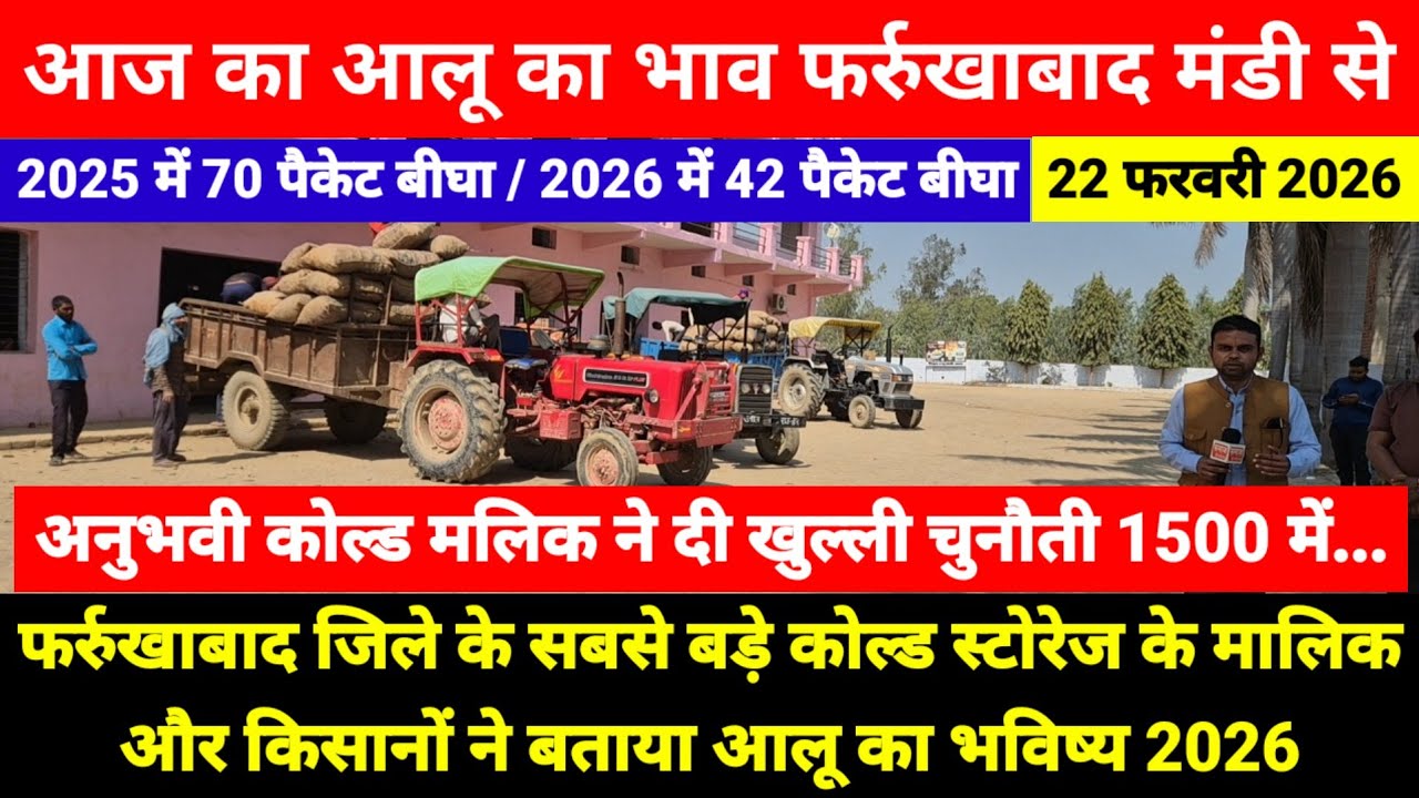 आज का आलू का भाव सातनपुर मंडी फर्रुखाबाद से || 2025 में 70 पैकेट बीघा || 2026 में 42 पैकेट बीघा