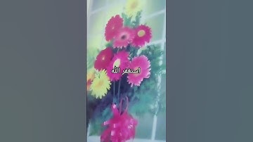 #quran #المصحف #اكسبلور #لايك #الرحمن #تلاوات #تيك_توك #ترند