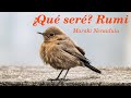 ¿Qué seré? Rumi