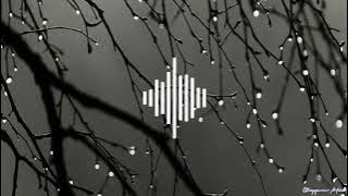 Terdiam Sepi - Andra Respati [Lyrics]