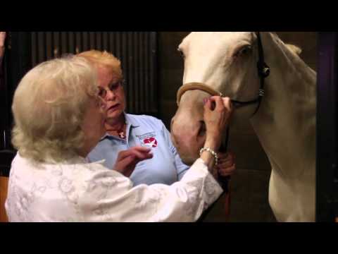 Video Betty White Visits BraveHearts