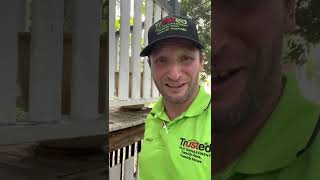 Termite damage or timber decay ? That is the question 🙋🏼‍♂️ by Wesley Tudor Vasile 108 views 2 years ago 1 minute, 13 seconds