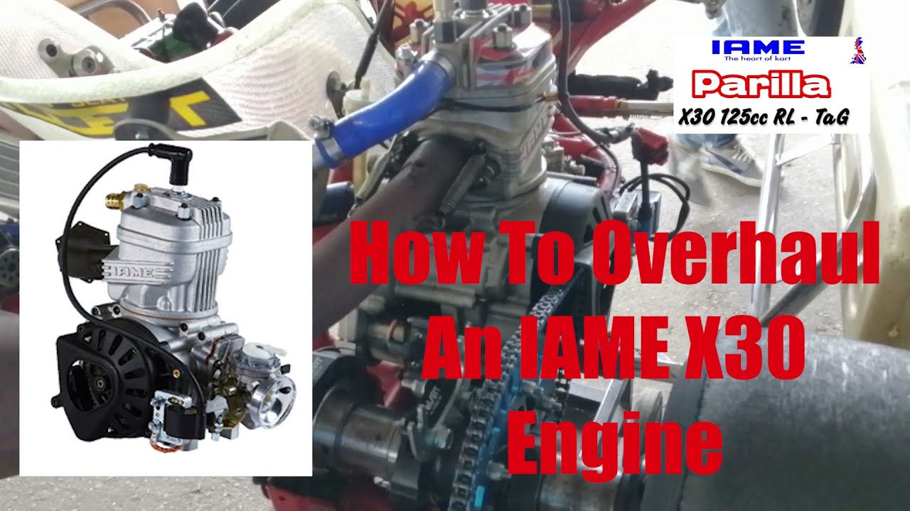 Iame X30 Go Kart Motor 125ccm