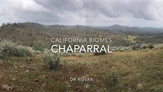California Chaparral Biome