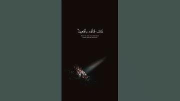 القارئ وديع اليمني سورة التوبة 🖤