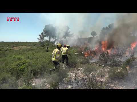 Vídeo: Saps qui són els voluntaris?