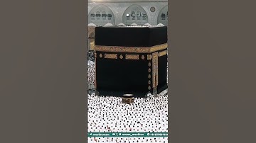 تلاوة جميلة من سورة آل عمران بصوت الشيخ د. بدر التركي من صلاة العشاء 🕋