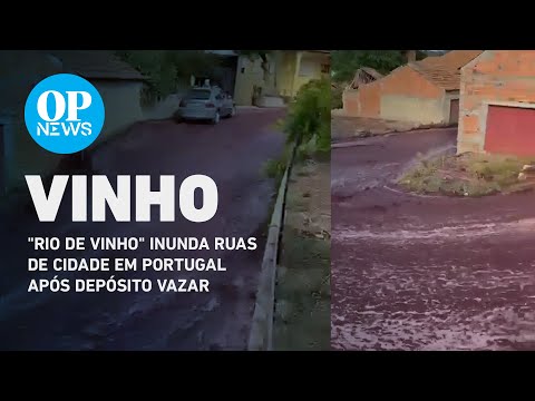 Rio de vinho: ruas de Portugal são inundadas após depósito vazar | O POVO NEWS