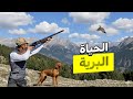 العودة إلى البرية صيد الحجل البري وسط الجبال يوم كامل من الصيد