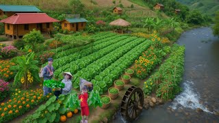 Off-Grid Green Harvest: Growing Leafy Greens, Raising Animals \u0026 Selling at the Market!