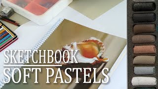 Sketchbook for soft pastels | DIY screenshot 3