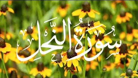 #سورة_النحل #لااله_الاانت_سبحانك_اني_كنت_من_الظالمين
