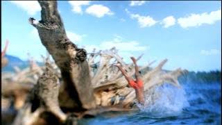 TVC Kuku Bima EnerG Maluku