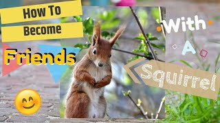 How to become friends with a Squirrel in just a Week!