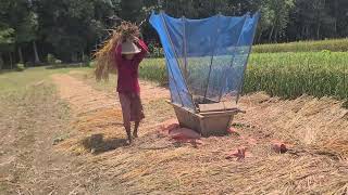 THE BEST MANUAL HARVESTING TOOLS EVERY FARMER MUST HAVE-agriculture farming