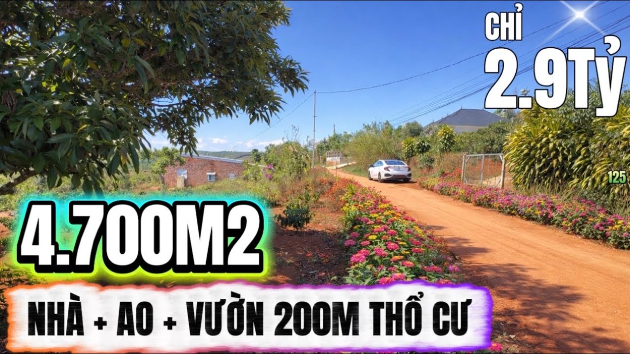 🔴 4.700m2 có nhà, ao, 200m thổ cư – 2.9 tỷ