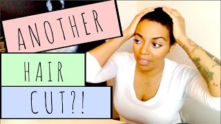 ANOTHER Hair Cut?!, Bald Spots, NEW Shea Moisture & More! || March Hair Update || AccordingToChloeC