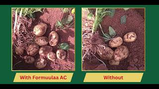 Formula AC | Organic activated carbon for all crops | Plant growth promoter | Shubh Labh Agri Input