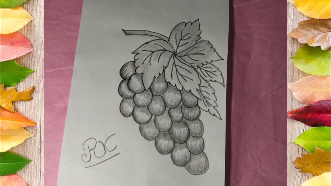 How To Draw Grapes🍇 Step By Step Simple Drawing Of Grapes Angoor🍇