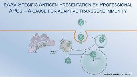 Model Informed Drug Development Approaches for Immunogenicity Assessments Workshop