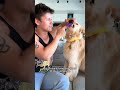 Month 4 of Simba’s Fresh routine and we’re definitely seeing results