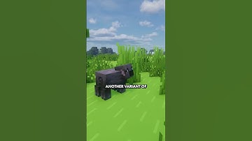 Mini Mod Showcase | More Mob Variants - Minecraft Mod #minecraft #minecraftmods #minecraftshorts