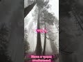 posle posle #youtubeshorts #меланхолик #музыка #смех #юмор #рэп #бойцовскийклуб #фильм