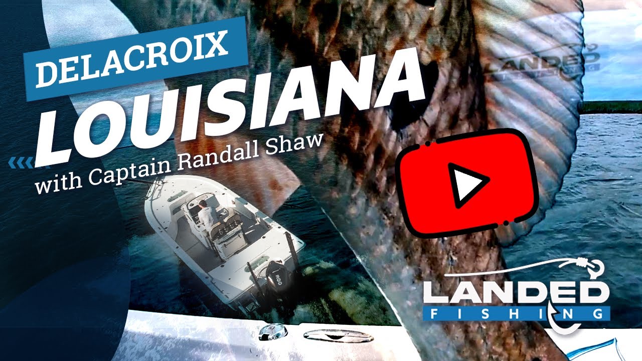 Redfish Fishing Delacroix Louisiana Inshore Saltwater Guides & Tips