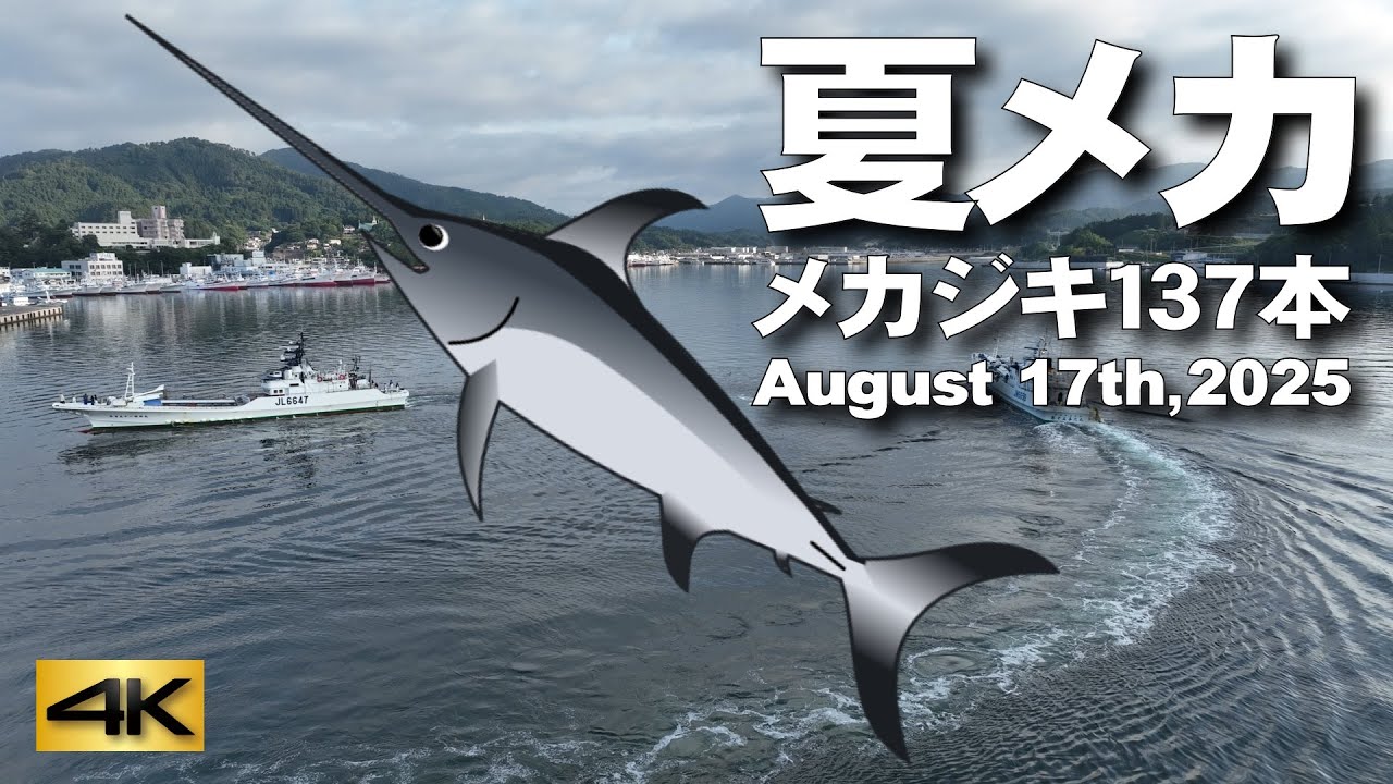 夏メカ】メカジキ137本 August 17th,2025 - YouTube